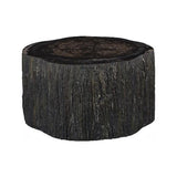 Table basse pétrifiée - Bois fossilisé noir & résine