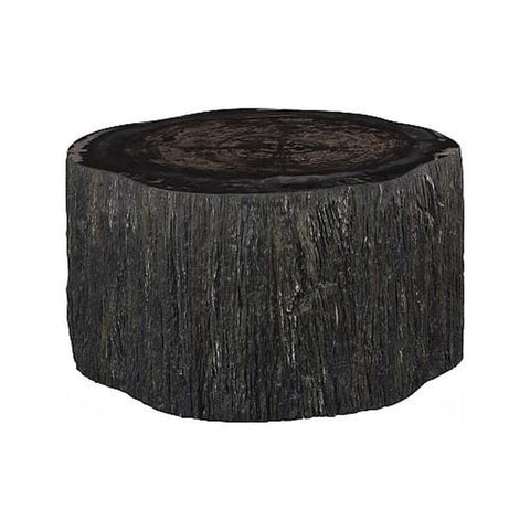 Table basse pétrifiée - Bois fossilisé noir & résine