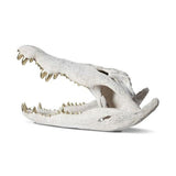 Sculpture - Crâne de Crocodile - Pierre Blanche & Dents Dorées - vue 2