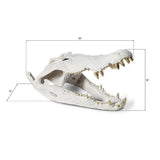 Sculpture - Crâne de Crocodile - Pierre Blanche & Dents Dorées - vue 4