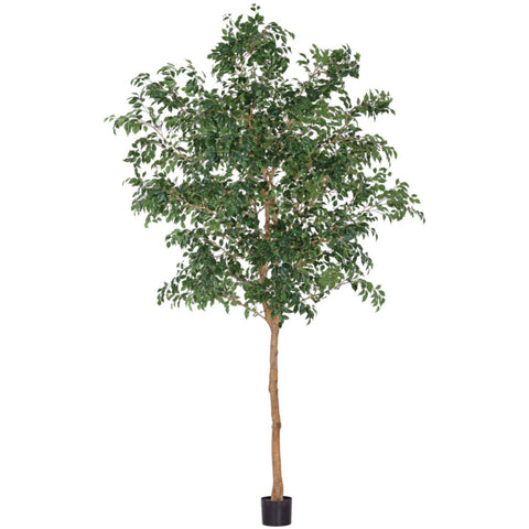 Ficus benjamina artificiel 120''