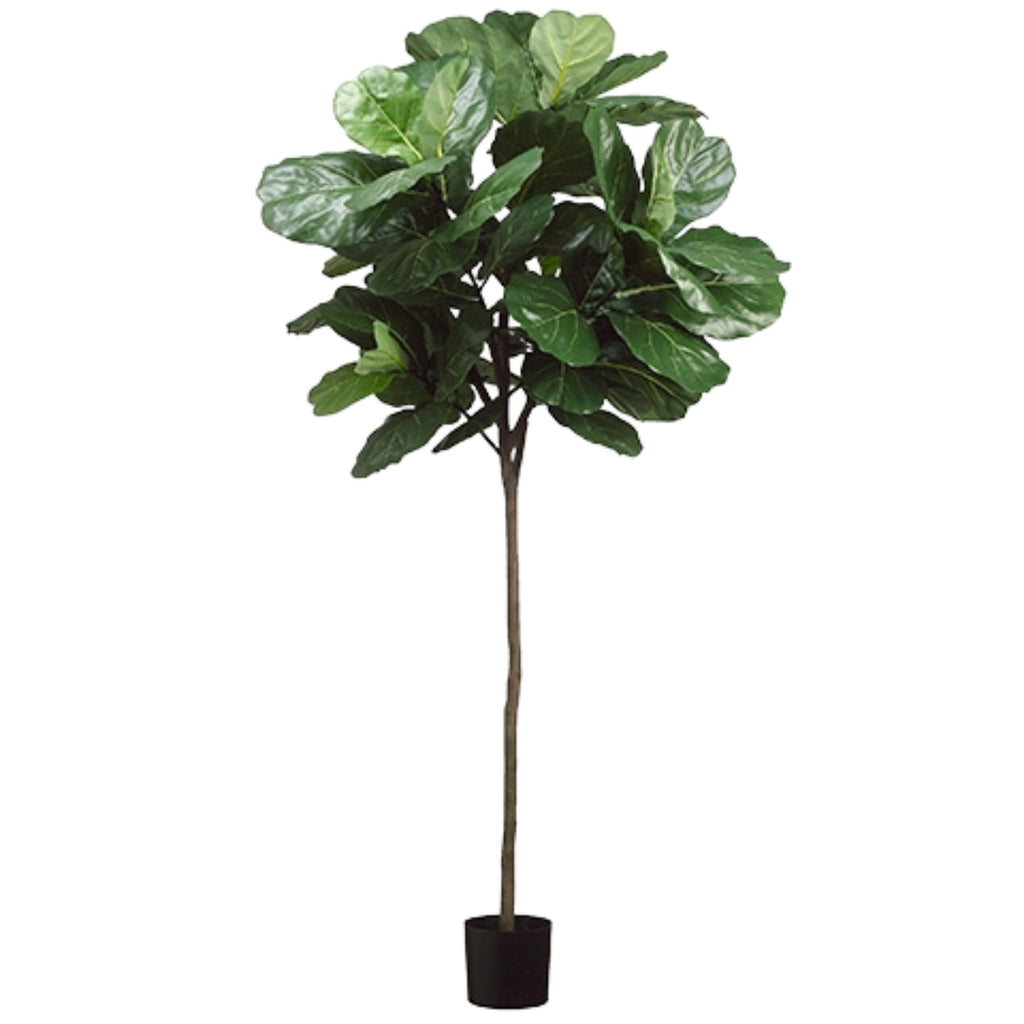 Ficus lyrata artificiel sur tige | 84''