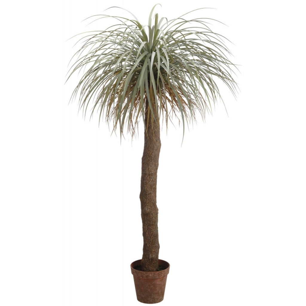 Beaucarnea artificiel 72''