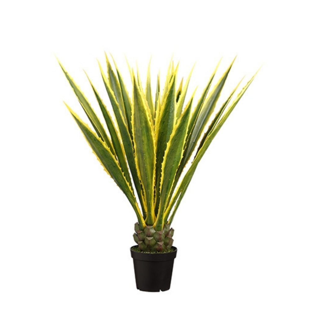 Agave variegata artificiel
