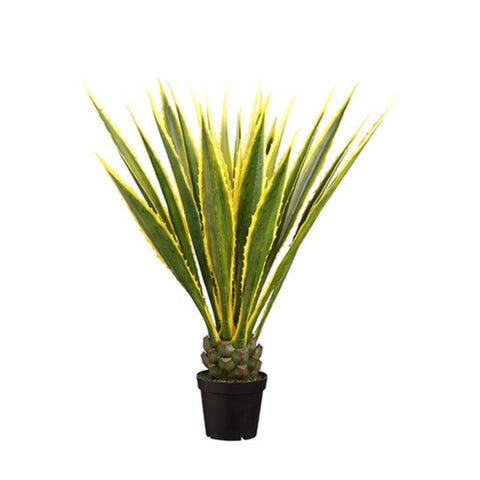 Agave variegata artificiel